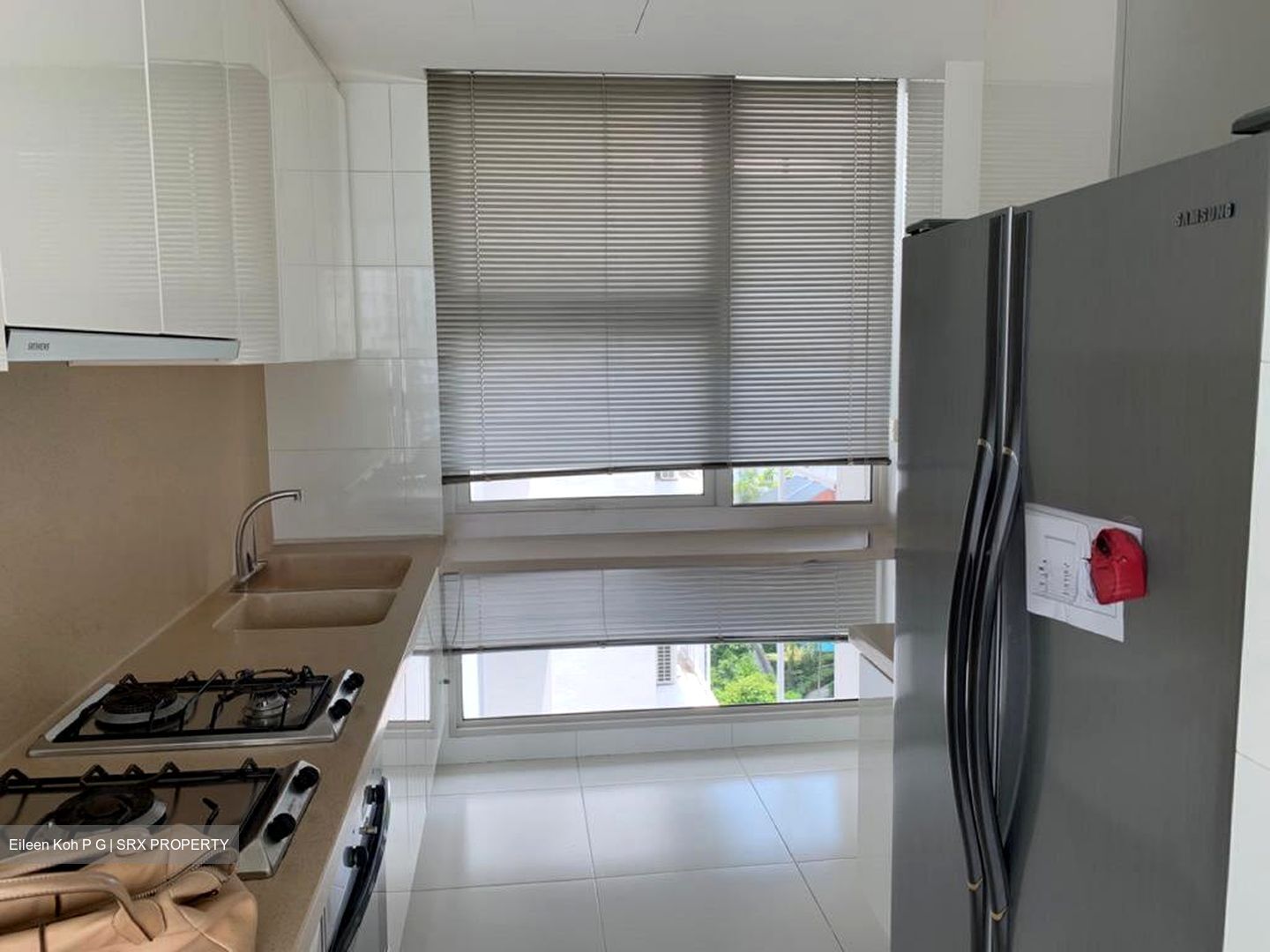 Belmond Green (D10), Condominium #504108001